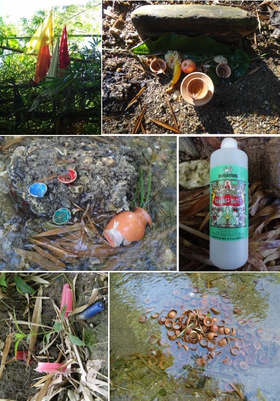 Examples of religious debris at one of our survey sites. Clockwise from top left: Religious flags, Shouter Baptist offerings, ornamental candles, spiritual kananga water, candles and clay candle pots (‘deyas’).